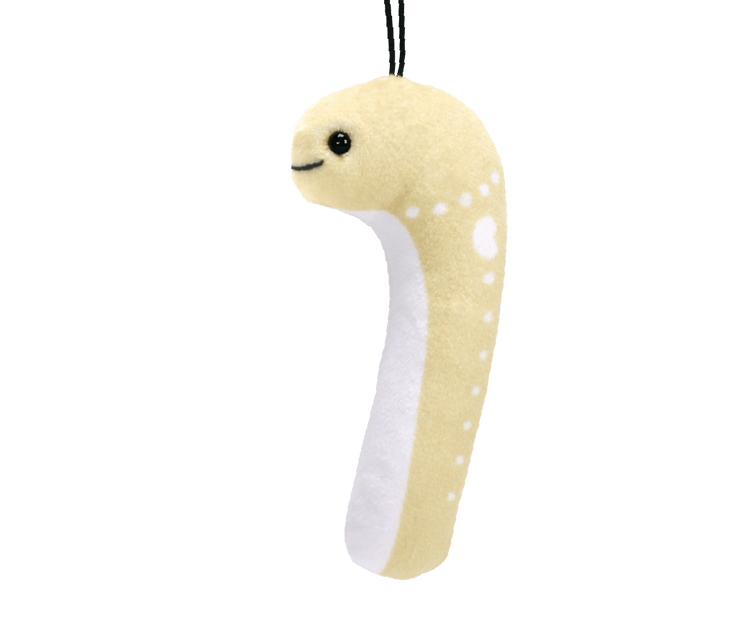 チンアナゴぬいぐるみ2 全4種セット