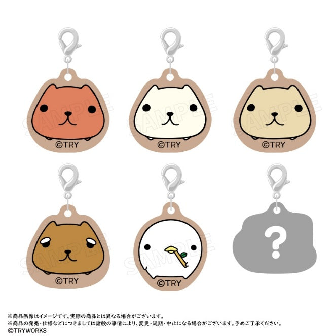 「カピバラさん」 トレーディングミニチャームvol.1 6個入り7BOX