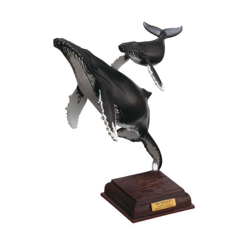 ネイチャーテクニカラー 小笠原 特装版 ザトウクジラ 単品・バラ売り カプセル無し