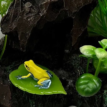 ネイチャーテクニカラー MONO+ ヤドクガエル The BEST グラヌリフェラスヤドクガエル 単品・バラ売り メール便