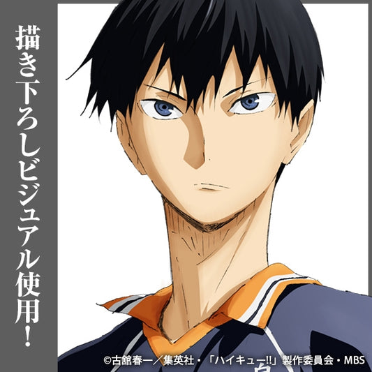 ハイキュー!! 影山飛雄 アクリルスタンド(大)Ver.1.0