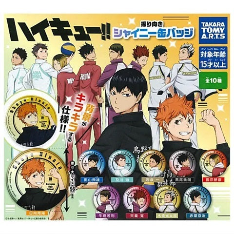 ハイキュー！！ 振り向きシャイニー缶バッジ　全10種