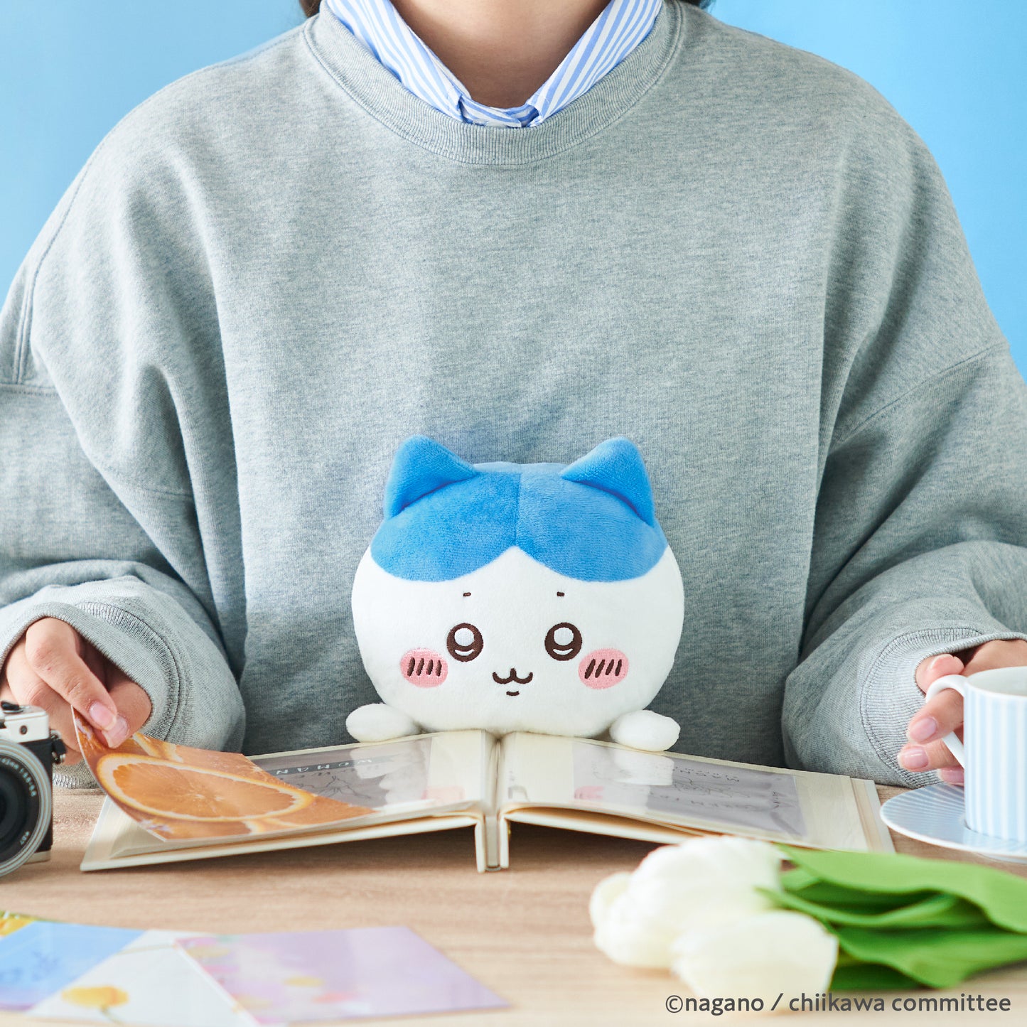 ふんばるず ちいかわ -ハチワレ-