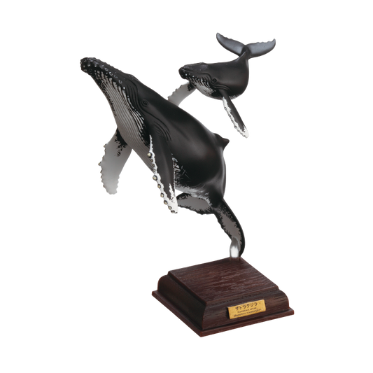 ネイチャーテクニカラー 小笠原 特装版 ザトウクジラ 単品・バラ売り カプセル無し