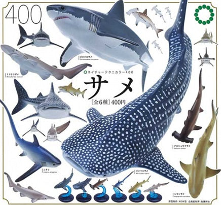 ネイチャーテクニカラー400　サメ　全6種セット　ガチャガチャ カプセル・ミニブック付き コンプリート 新品 即納