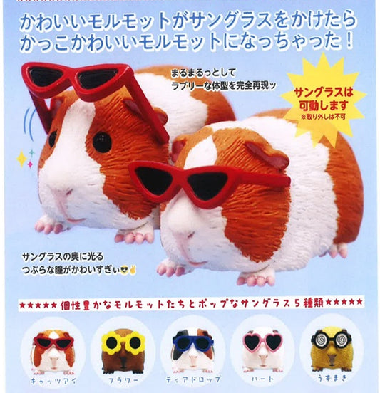 サングラスをかけたモルモット　全5種