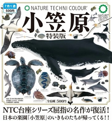 ネイチャーテクニカラー 小笠原 特装版 全6種セット