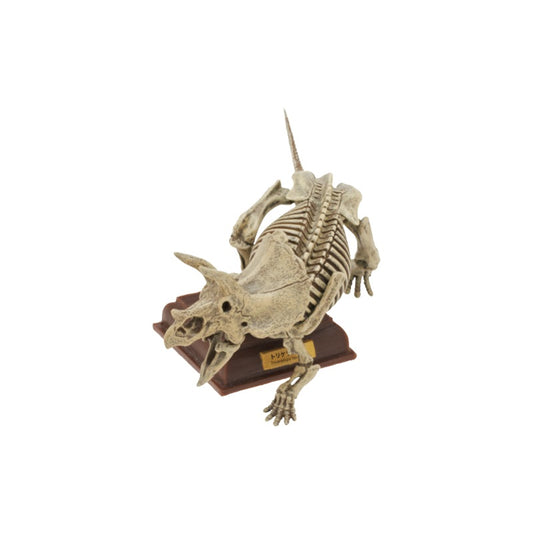 ネイチャーテクニカラー 古生物  トリケラトプス(黄土化石色)　単品・バラ売り　カプセル無し