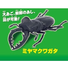 あそべる生物フィギュアシリーズ昆虫の森でたぞ！4大昆虫　ミヤマクワガタ　単品 バラ売り カプセル無し