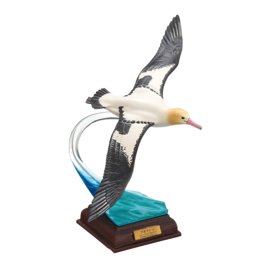 ネイチャーテクニカラー 小笠原 特装版 アホウドリ 単品・バラ売り カプセル無し